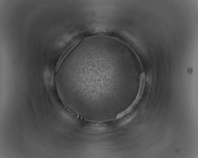 X0000094451348200711211509