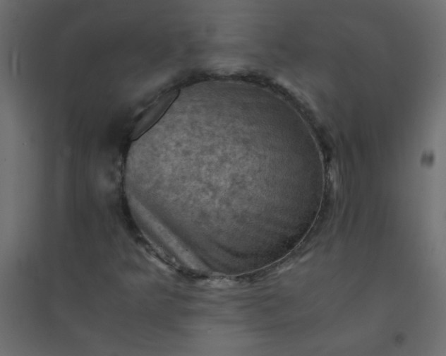 X0000094451349200711211509