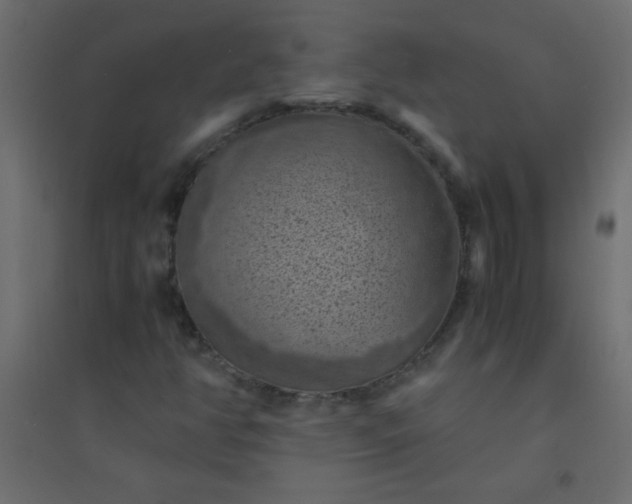 X0000094451350200711211509