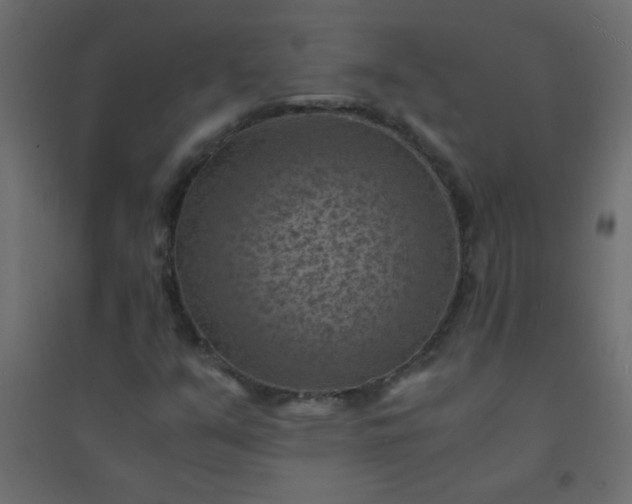 X0000094451351200711211509