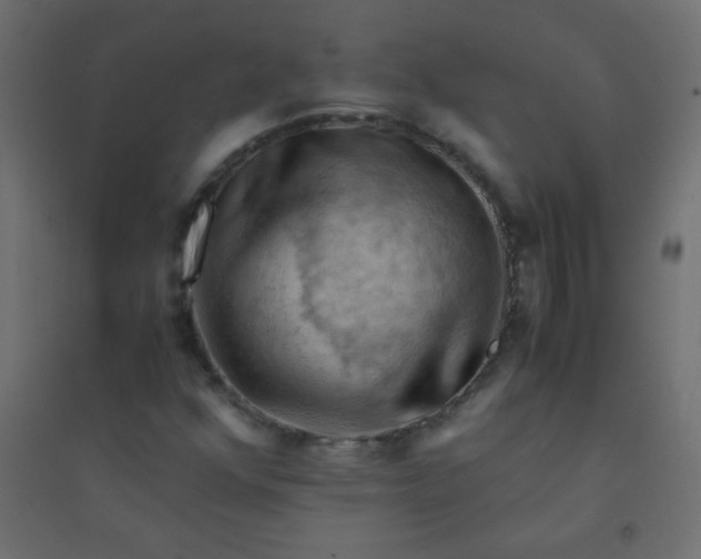 X0000094451352200711211509