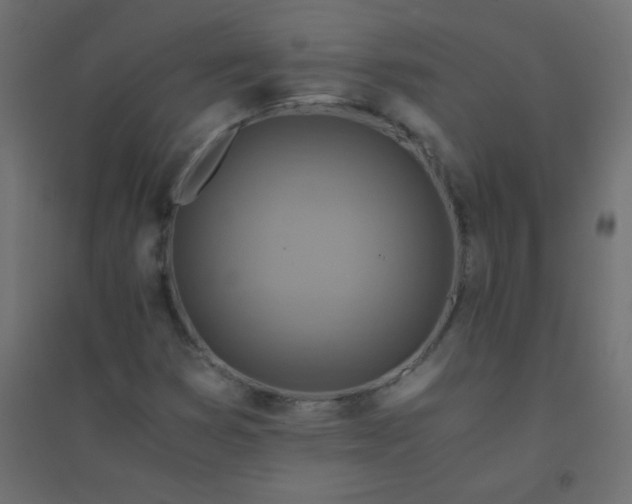 X0000094451353200711211509