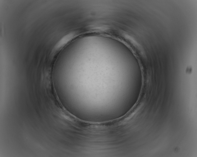 X0000094451354200711211509