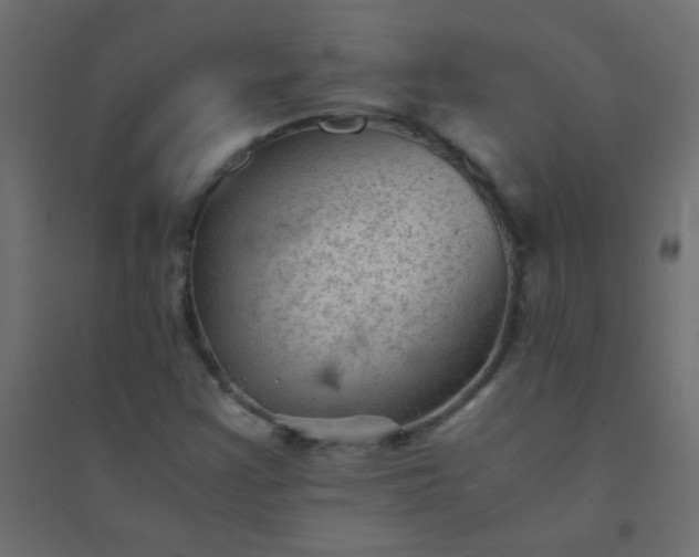 X0000094451355200711211509