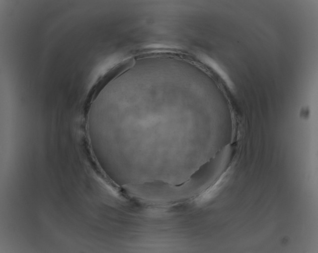 X0000094451357200711211509