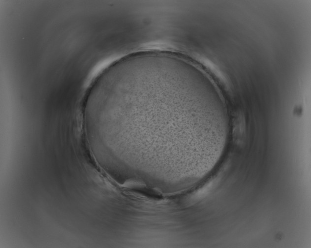 X0000094451358200711211509