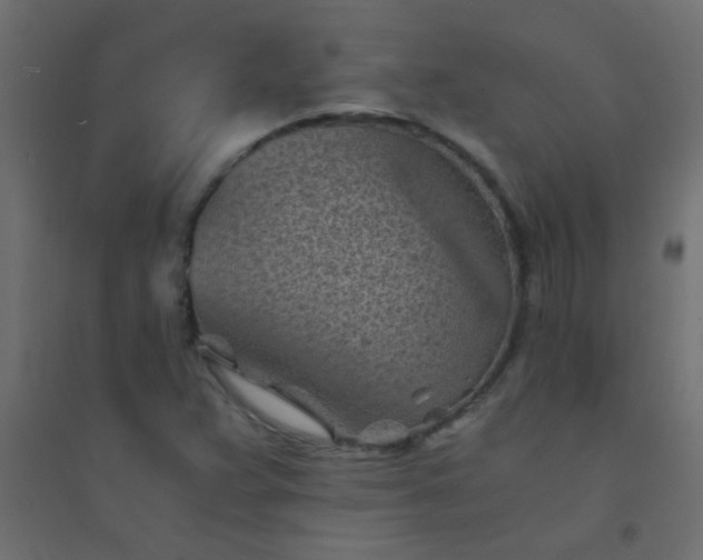 X0000094451359200711211509