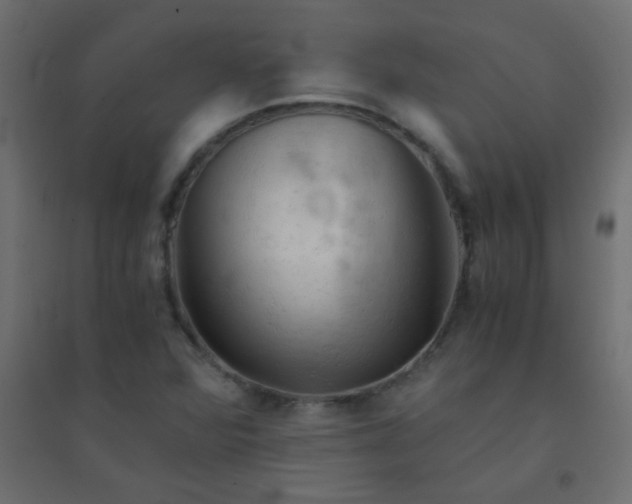 X0000094451360200711211509