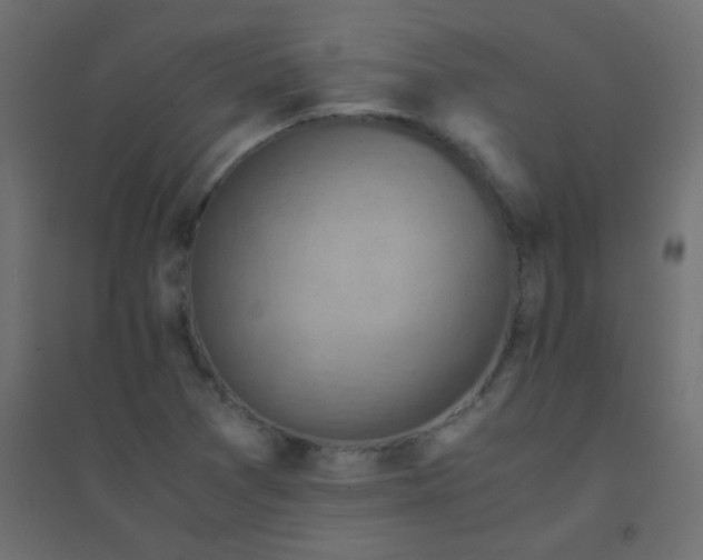 X0000094451361200711211509