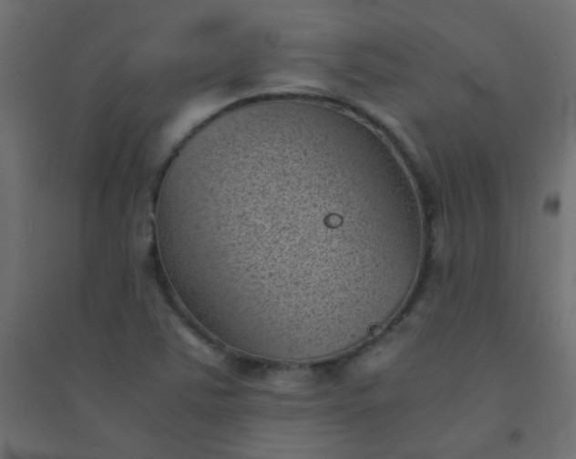 X0000094451363200711211509