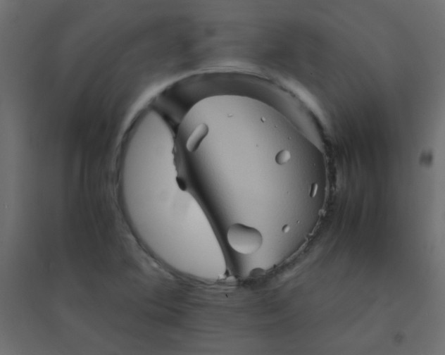 X0000094451364200711211509