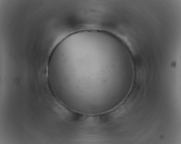 X0000094451365200711211509