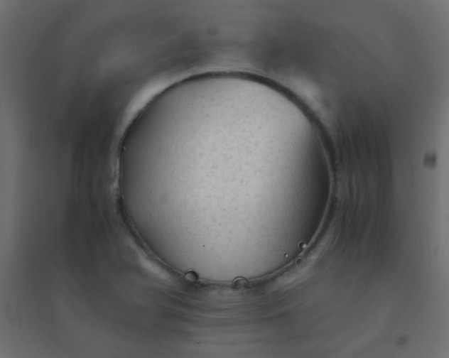 X0000094451366200711211509