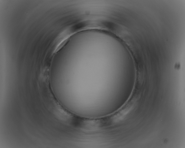 X0000094451369200711211509
