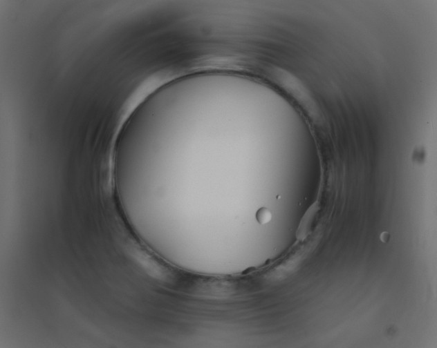 X0000094451370200711211509