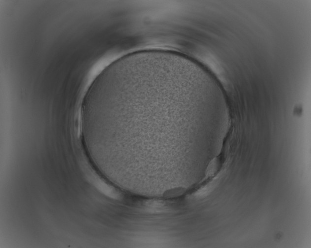 X0000094451371200711211509