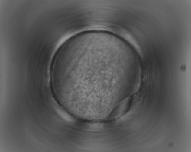 X0000094451372200711211509