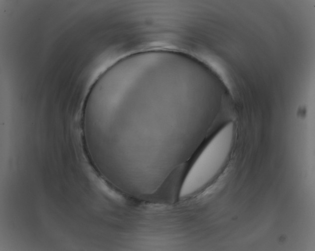 X0000094451373200711211509