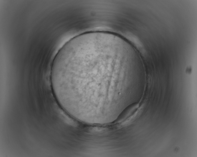 X0000094451374200711211509