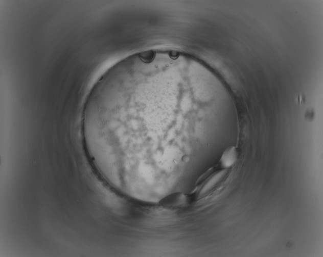 X0000094451375200711211509