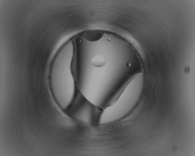 X0000094451376200711211509