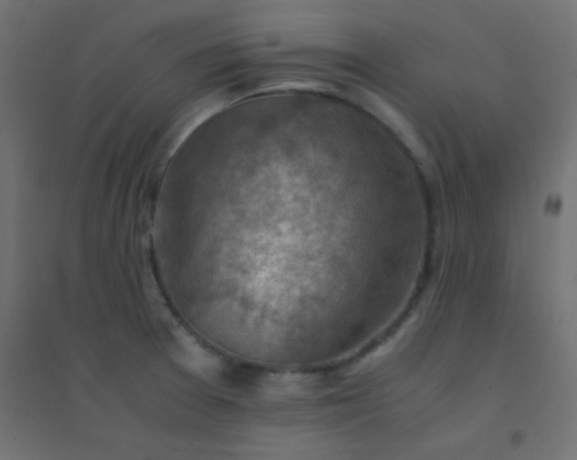 X0000094451377200711211509