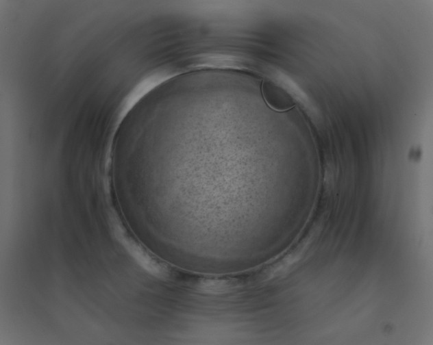 X0000094451378200711211509