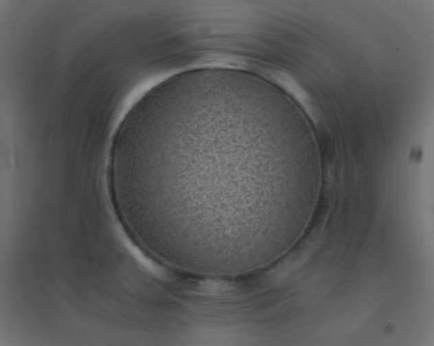 X0000094451379200711211509