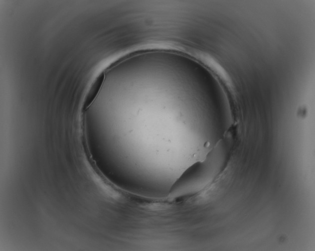 X0000094451380200711211509