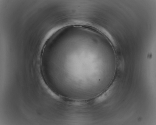 X0000094451381200711211509