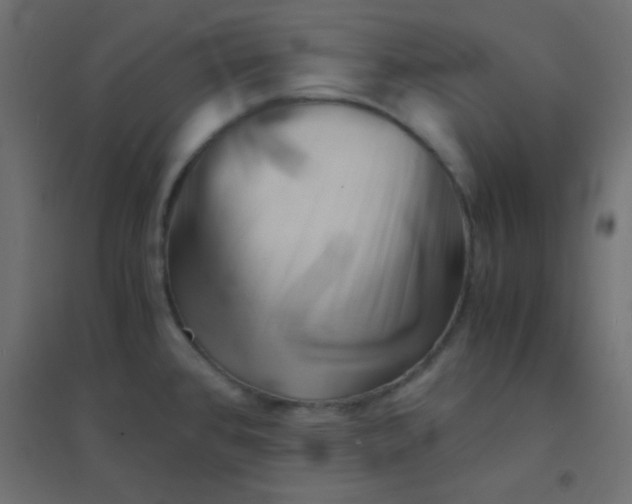 X0000094451384200711211509