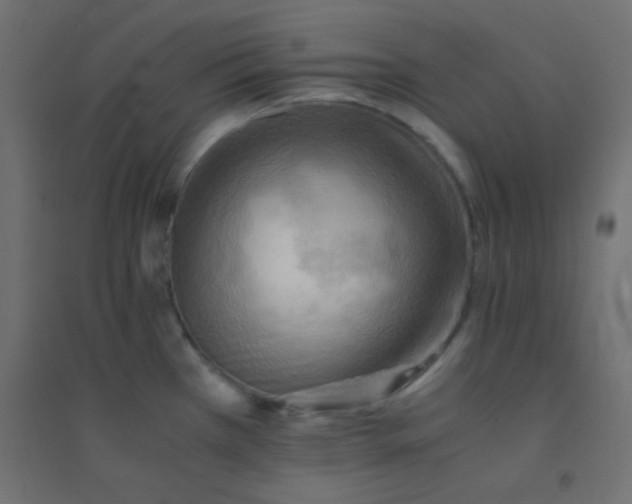 X0000094451385200711211509