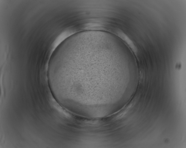 X0000094451386200711211509
