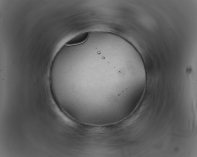 X0000094451387200711211509