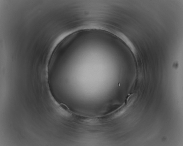 X0000094451388200711211509