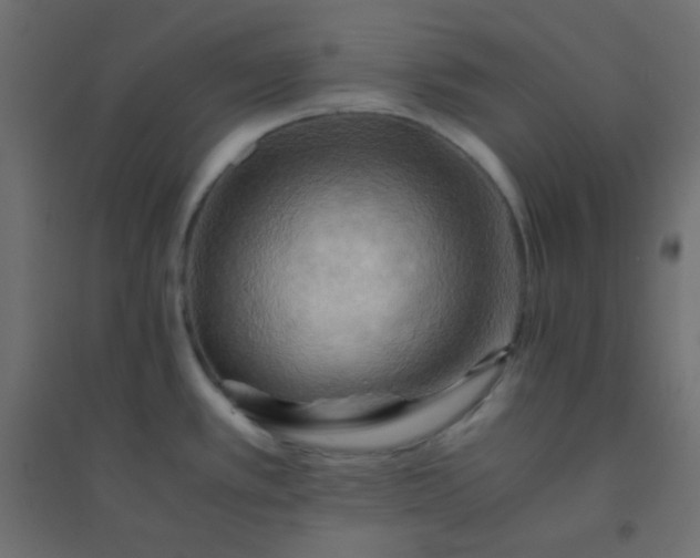 X0000094451389200711211509