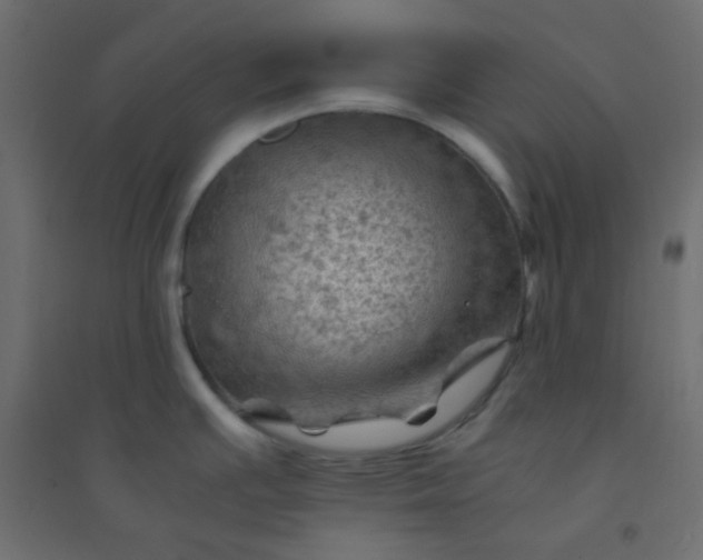 X0000094451391200711211509