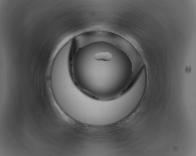 X0000094451392200711211509