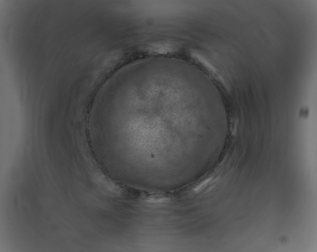 X0000094451393200711211508
