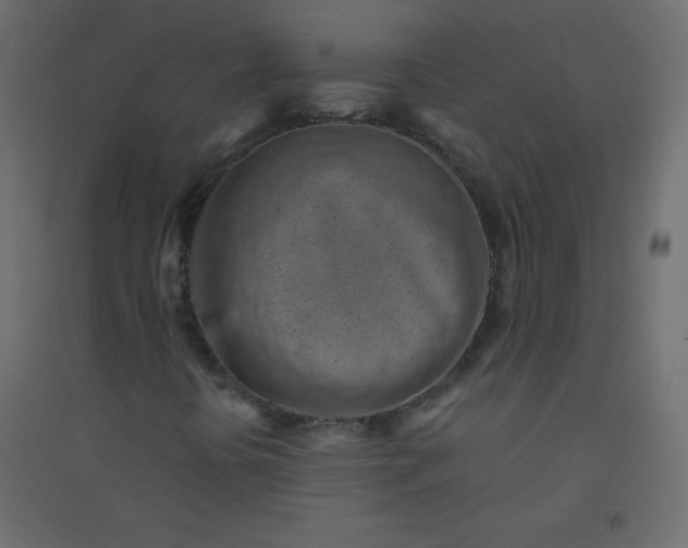 X0000094451394200711211508