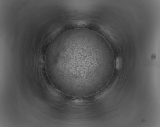 X0000094451395200711211508