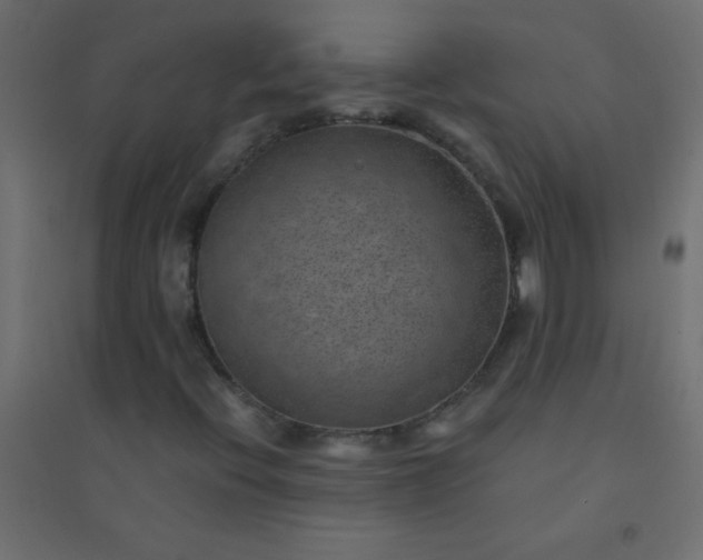 X0000094451396200711211508