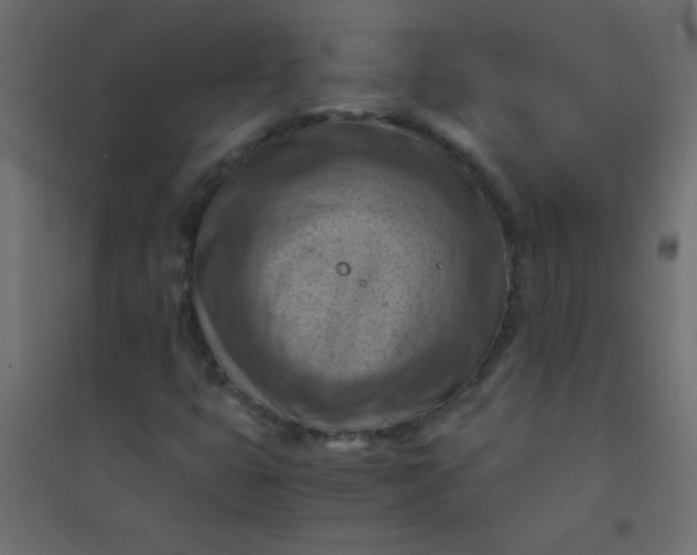 X0000094451399200711211508