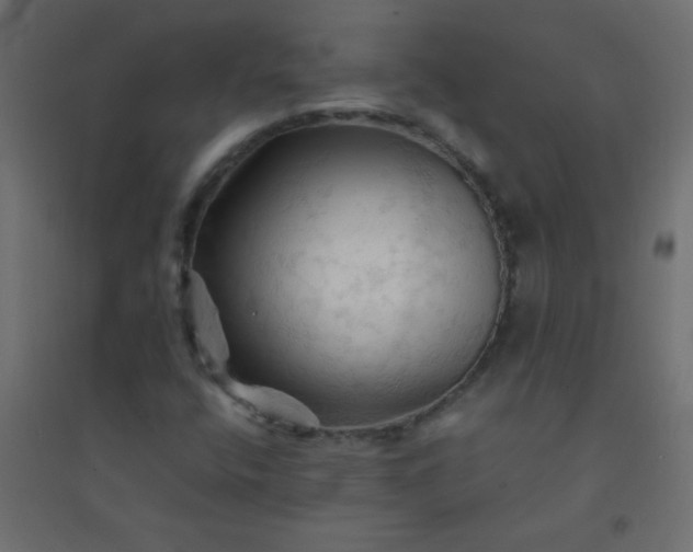 X0000094451400200711211508