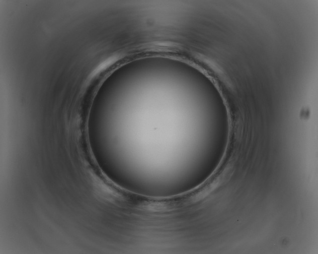 X0000094451402200711211508