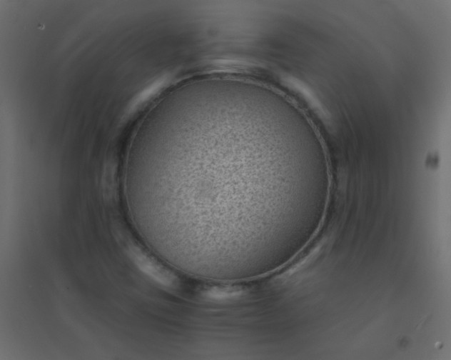 X0000094451403200711211508