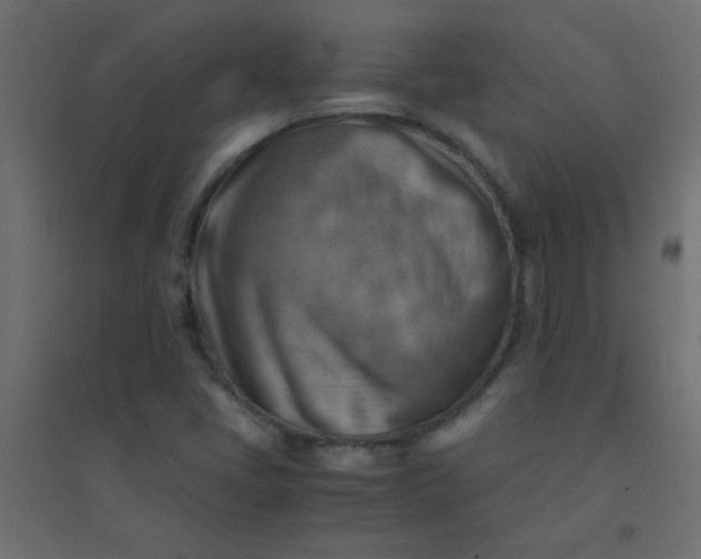 X0000094451405200711211508