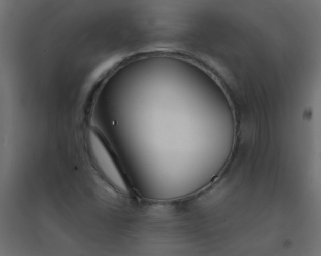 X0000094451406200711211508