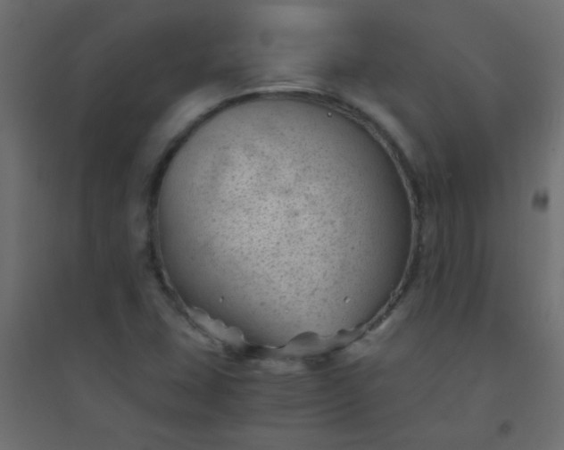 X0000094451407200711211508