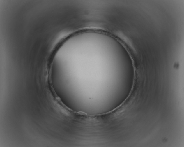 X0000094451408200711211508